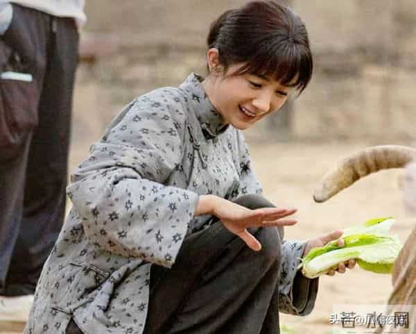 广电这一夜，群星荟萃，各显神通，却全被杨幂的麦穗抢了风头