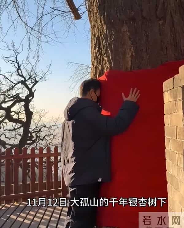 朱媛媛去世6个月后，辛柏青二度现身大孤山，令人担心的事发生了