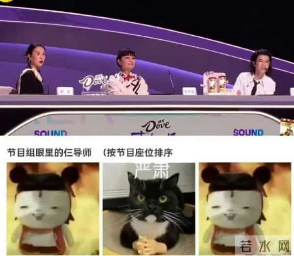 51岁无妻无子、半退休,看"老好人"何炅的现状,尴尬处境藏不住了