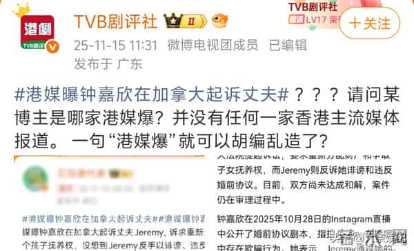 疑遭骗婚！曝钟嘉欣在加拿大起诉丈夫！相差13岁！五年生三胎！