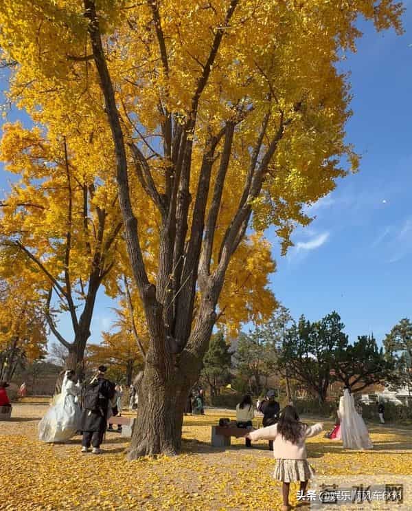 崔智友带娃出游,这身材和颜值,披麻袋都好看,行走的衣架子啊!