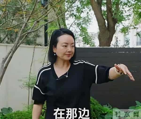 900亿身价蒸发！王中磊携妻子搬出庄园住别墅，妻子被迫接受降级