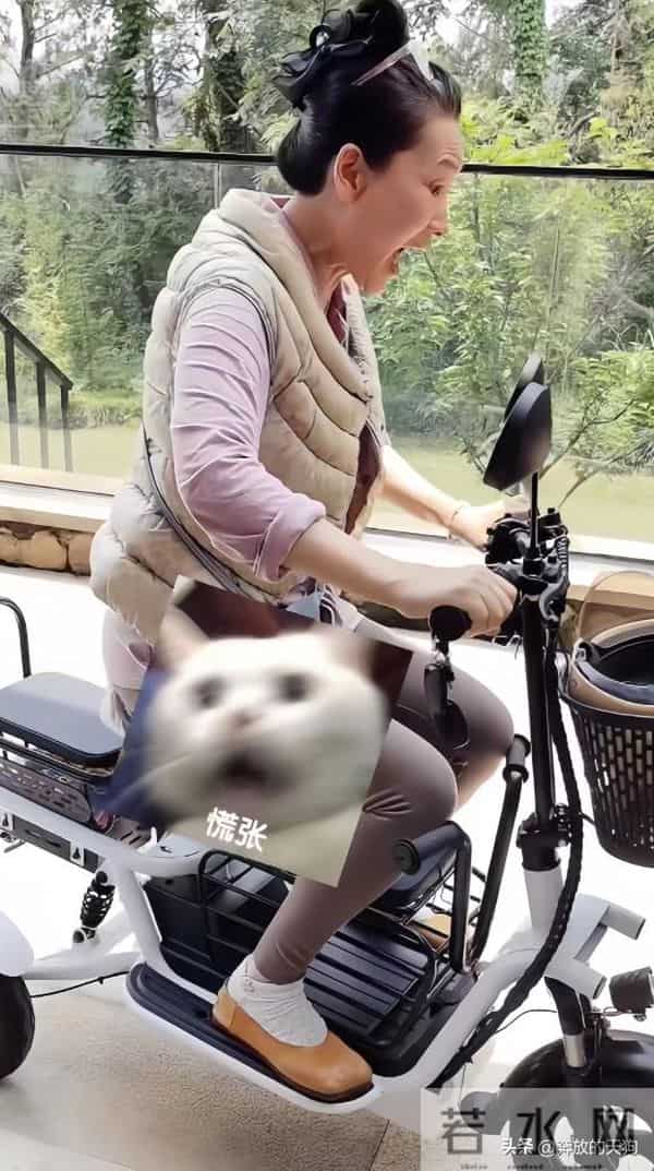 63岁何赛飞晒晚年生活！宅院中学电动车，羽绒马甲惹人注意