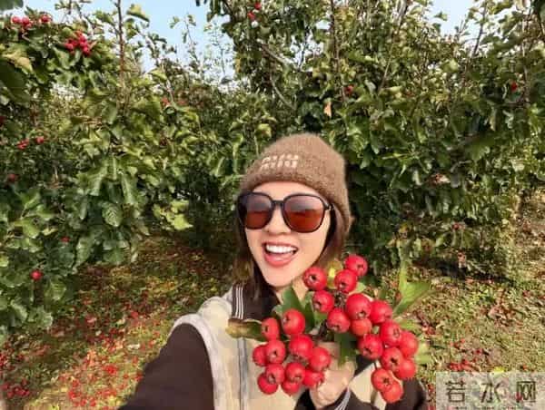 唐艺昕晒“山楂”丰收！摘了满满一篮子像个小富婆，张若昀好会养