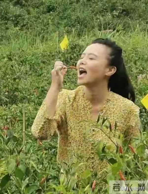 50岁龚琳娜选择深山独居，离婚后重新活出自我，成功走出悲伤