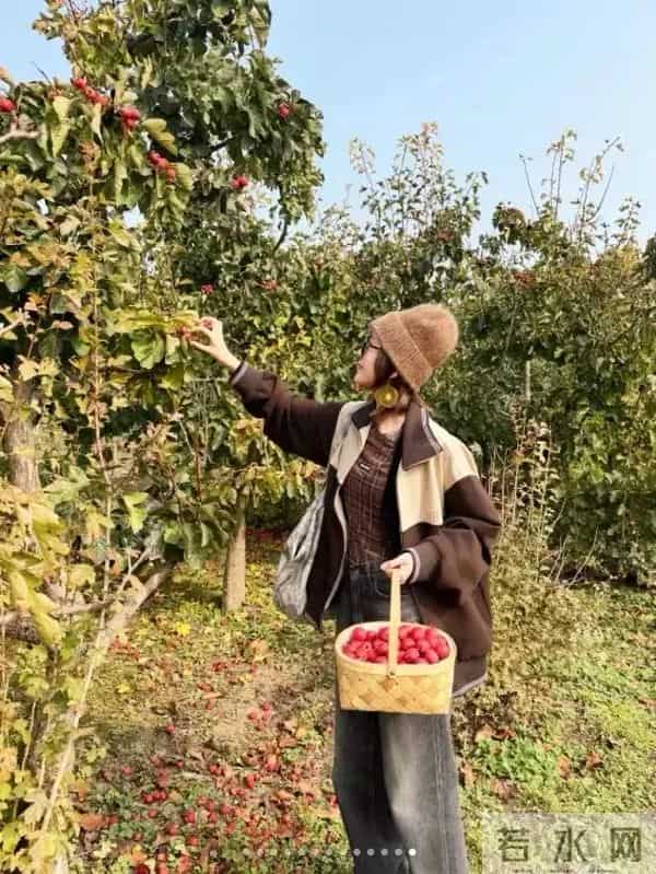 唐艺昕晒“山楂”丰收！摘了满满一篮子像个小富婆，张若昀好会养