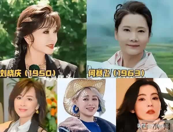 62岁何赛飞自曝给流量演员，被迫让戏，网友扒出她和杨紫合作过