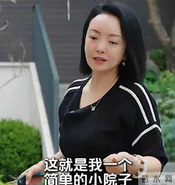 900亿身价蒸发！王中磊携妻子搬出庄园住别墅，妻子被迫接受降级