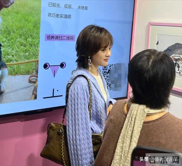 全家移民真相大白仅5月,孙俪近况曝光,她的处境一点都不意外