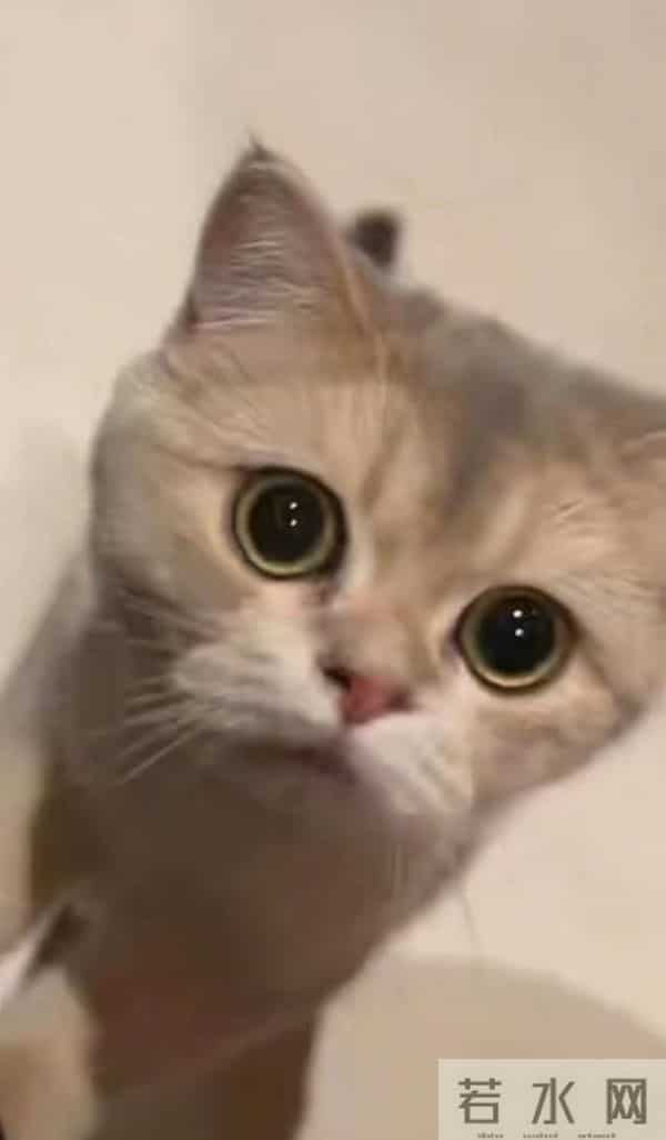 离婚13年后，51岁潘粤明再次官宣喜讯，成为前妻需要仰望的存在