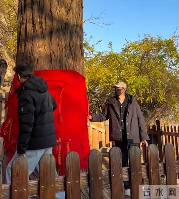 朱媛媛去世6个月后，辛柏青二度现身大孤山，令人担心的事发生了