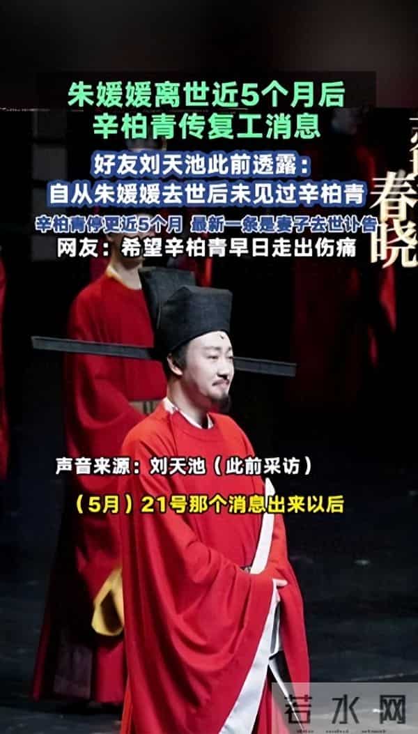 朱媛媛去世6个月后，辛柏青二度现身大孤山，令人担心的事发生了