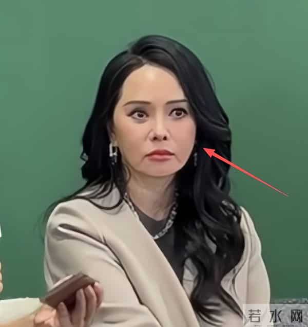 面相变了!伊能静现身艺术论坛皮松肉垮,穿奶奶裤难掩疲态显老态