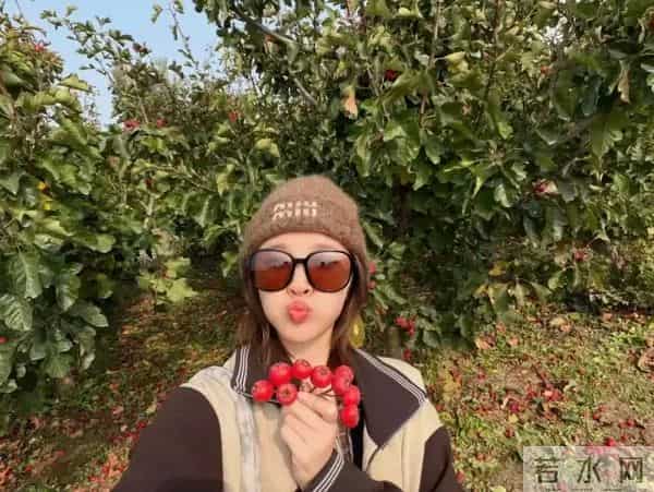 唐艺昕晒“山楂”丰收！摘了满满一篮子像个小富婆，张若昀好会养