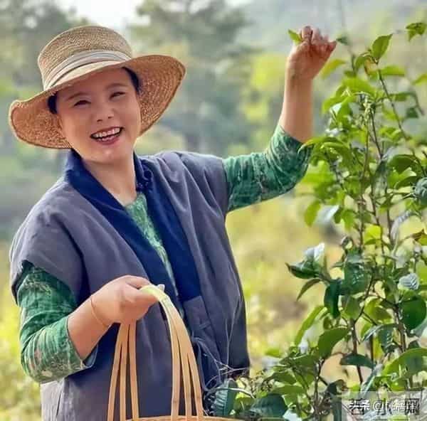 50岁龚琳娜选择深山独居，离婚后重新活出自我，成功走出悲伤