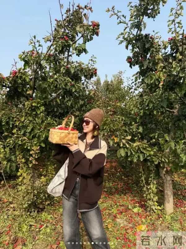 唐艺昕晒“山楂”丰收！摘了满满一篮子像个小富婆，张若昀好会养