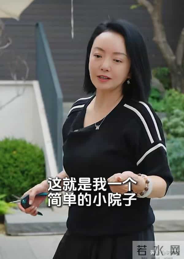 华谊兄弟王中磊，破产后的他住进简陋小院，妻子感叹回不到从前