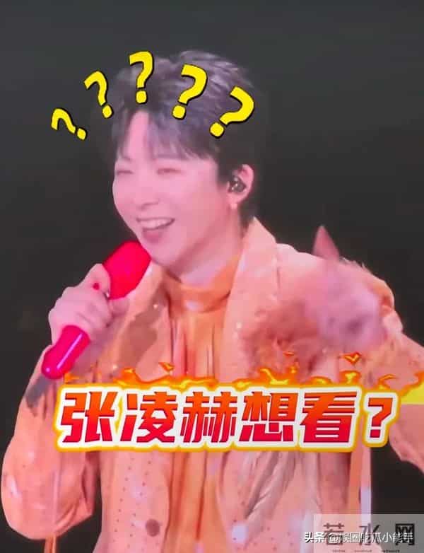 张凌赫金靖现身刘宇宁演唱会，起哄要看刘宇宁腹肌，画面太搞笑了