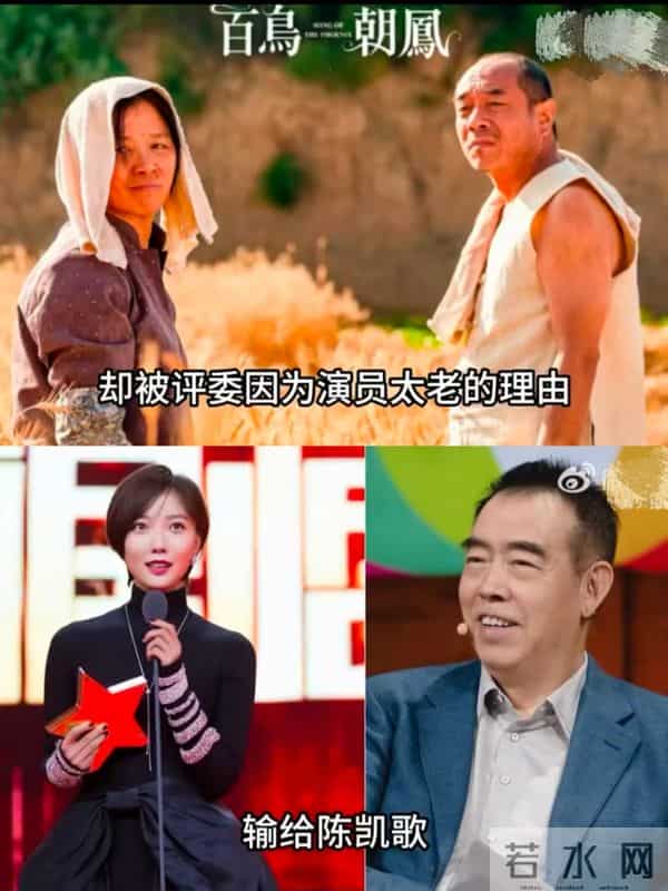 倪萍太敢说！揭开金鸡奖伤疤，从章子怡到咏梅的实力派之痛