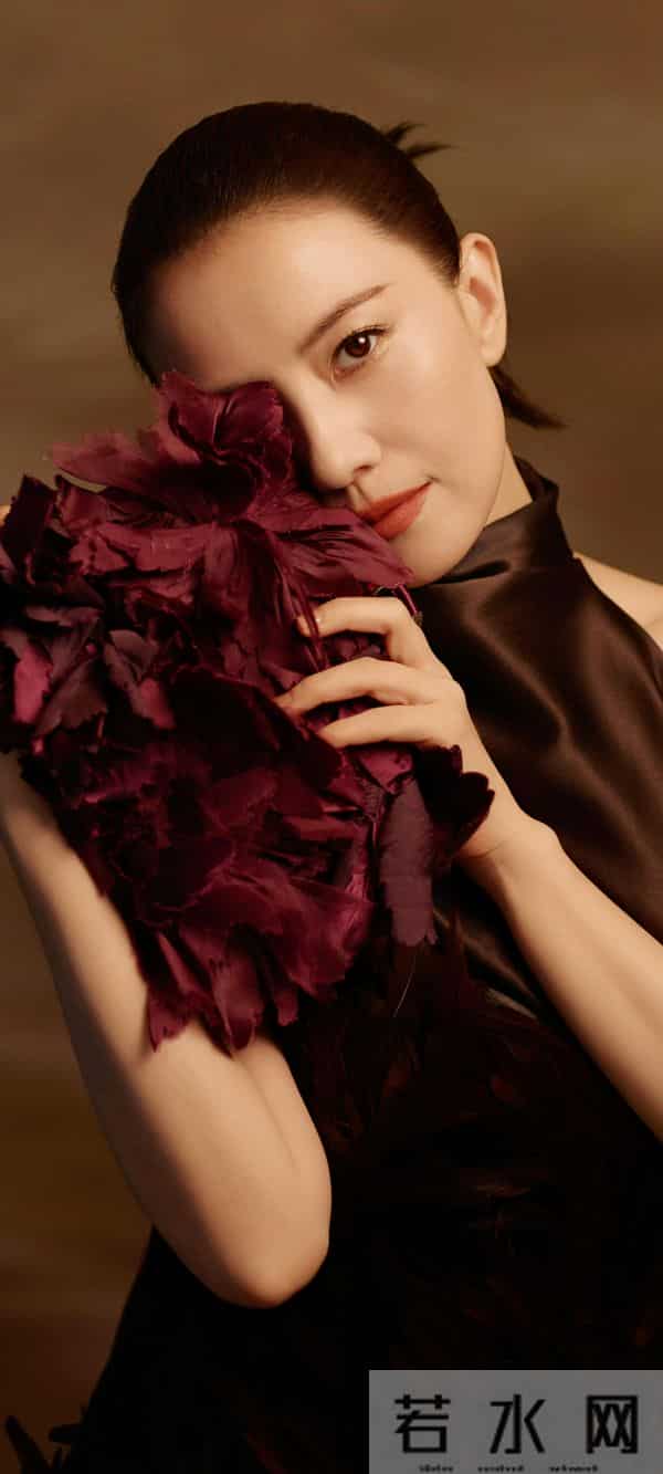 美女壁纸第1458期—高圆圆