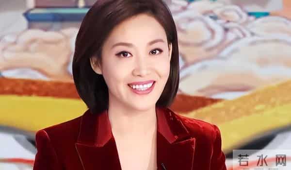 央视主持人郑丽:我这辈子最正确的决定,就是为普通丈夫生下孩子