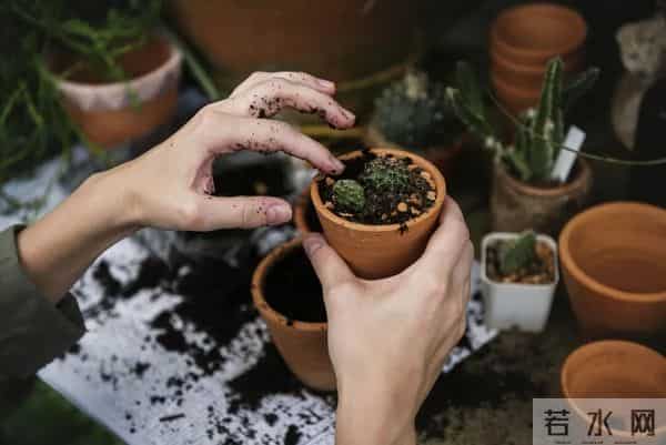 敢和杨幂玩梗的广告里，藏着很多人缺失的“活人感”