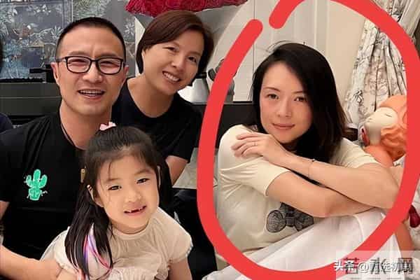 不可思议！撒贝宁和外籍老婆结婚后，女方竟然提出AA制生活