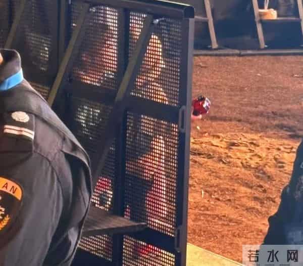 魏晨一家三口合体,妻子抱着儿子看他演唱会,小橙子个头长得真高