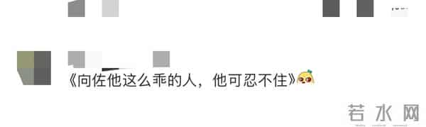 向太曝向佑在国外遭歧视,被人家吐痰,向佐护弟心切将对方手打断