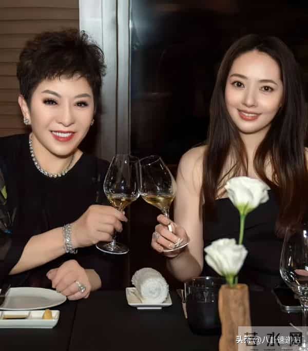 钱花光了人还在！89岁瘫坐轮椅的谢贤，给想改遗嘱的向太提了醒