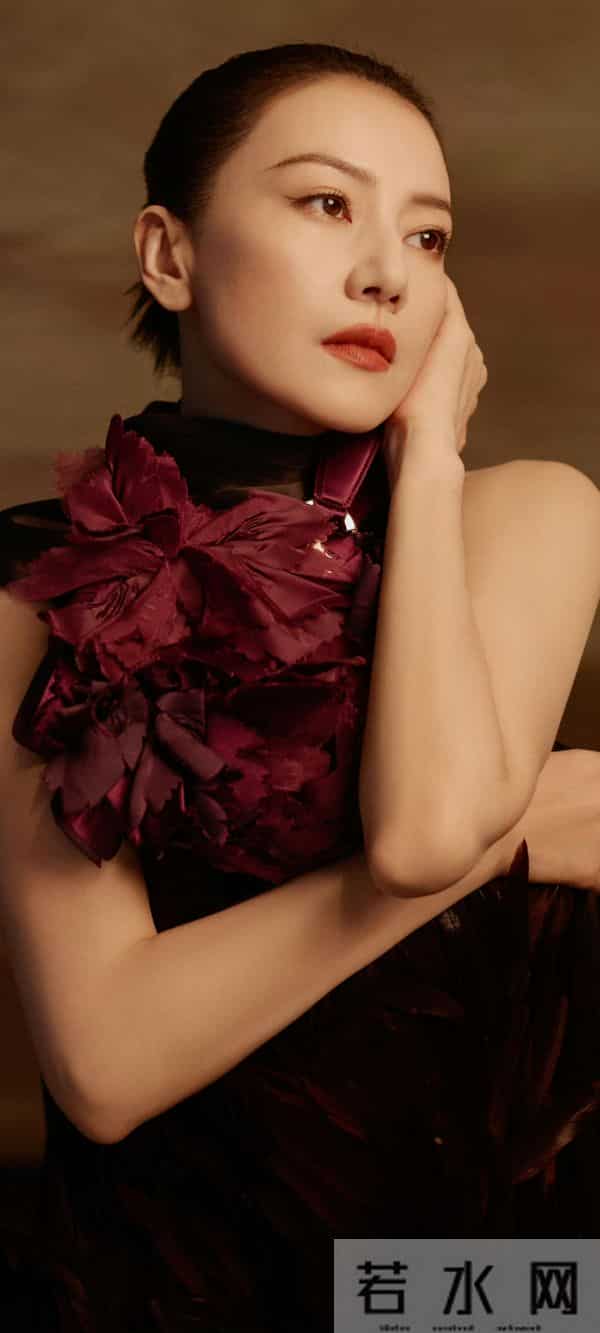 美女壁纸第1458期—高圆圆