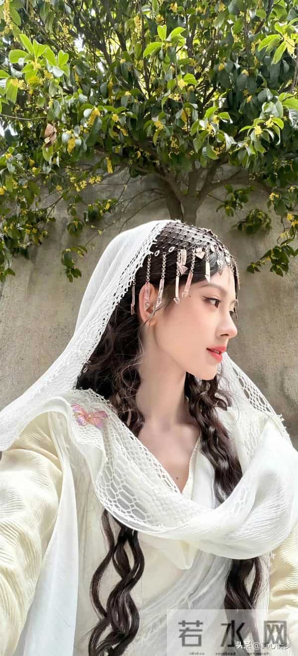 精选明星壁纸（516）鞠婧祎