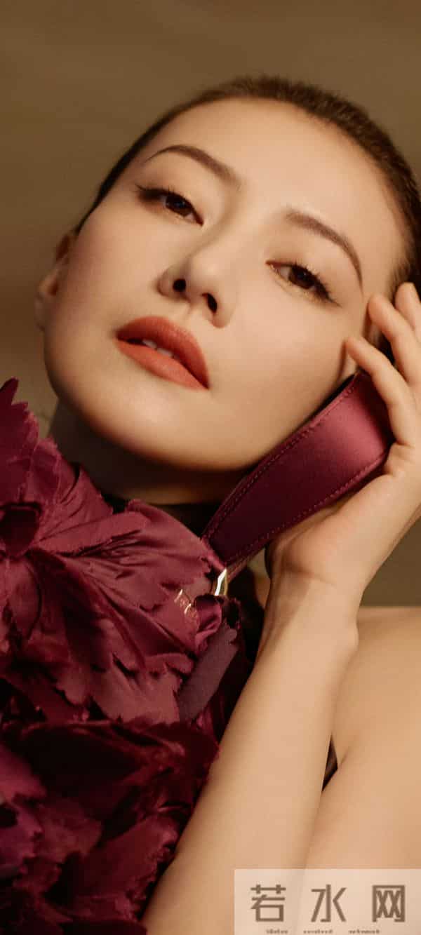 美女壁纸第1458期—高圆圆