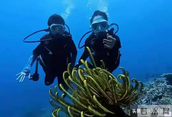 章子怡成孩子王,带儿子女儿先吃烤肉又打游戏,不理金鸡奖纷争