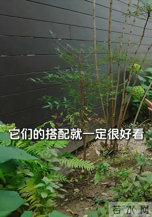 华谊兄弟王中磊，破产后的他住进简陋小院，妻子感叹回不到从前