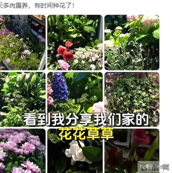 华谊兄弟王中磊，破产后的他住进简陋小院，妻子感叹回不到从前