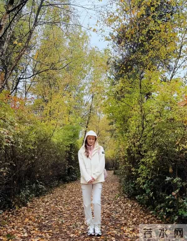 婚变风波后钟嘉欣晒全家福合照，老公侧身出镜，一家人装饰圣诞树