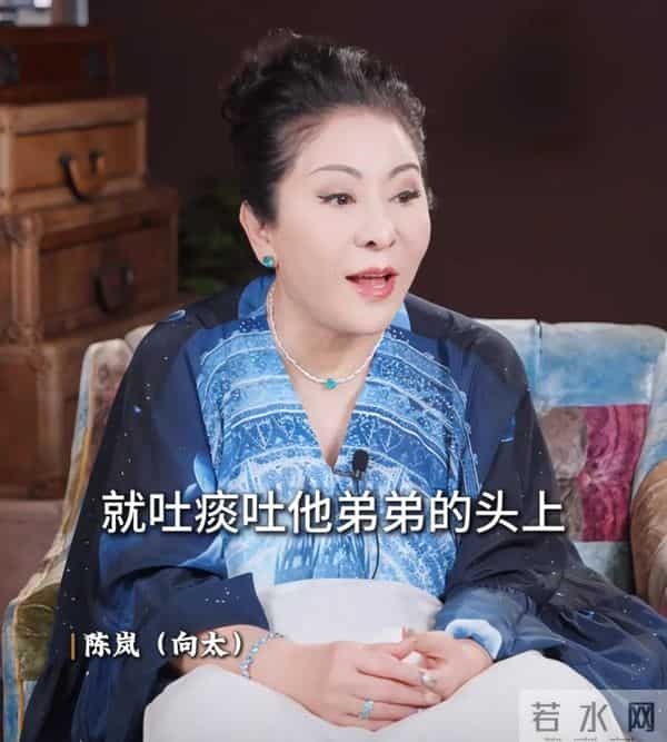 向太曝向佑在国外遭歧视,被人家吐痰,向佐护弟心切将对方手打断