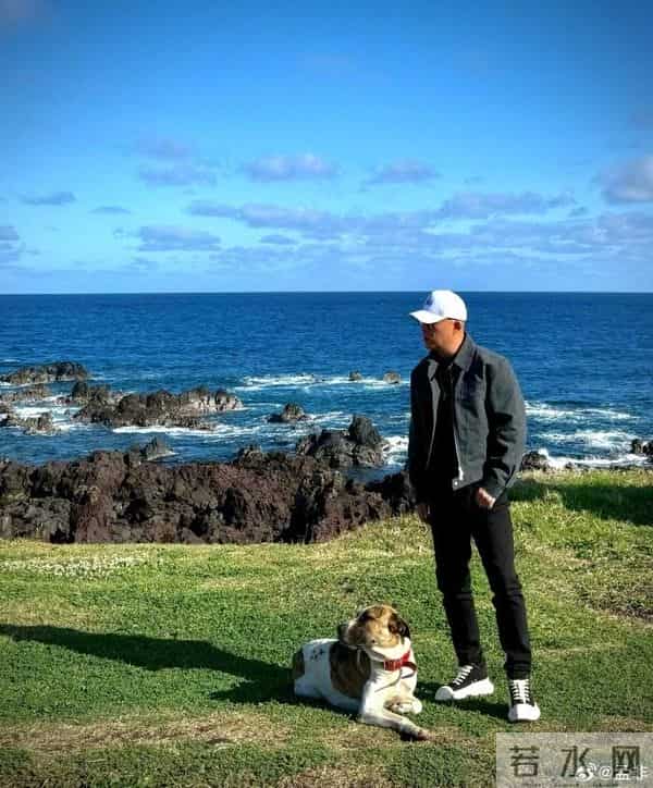 卫视主持一哥现状大洗牌：有人上亿有人半退，地位无人能替