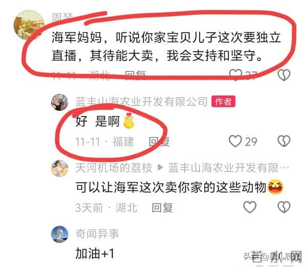 海军有好事发生 就在23日 海军妈妈开心坏了 昨晚大妹直播 浩男捧场