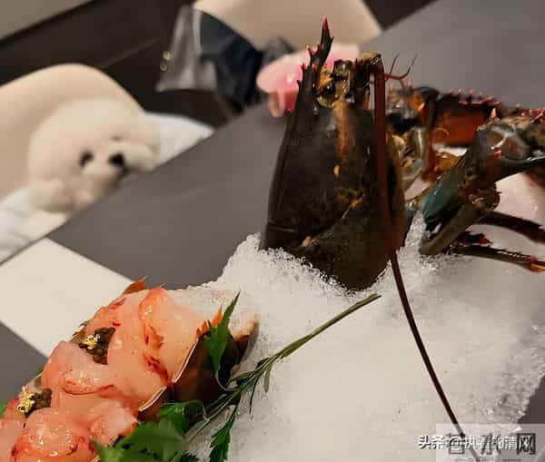 宋慧乔44岁素颜聚餐照曝光！短发金丝眼镜惊艳全网