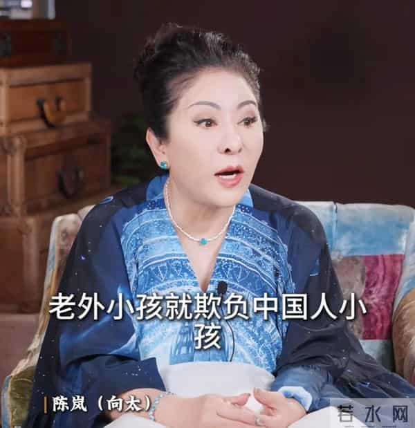 向太曝向佑在国外遭歧视,被人家吐痰,向佐护弟心切将对方手打断