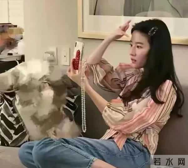 刘亦菲私宅曝光，和一屋猫狗为伴，不用带娃，实在不要太舒适