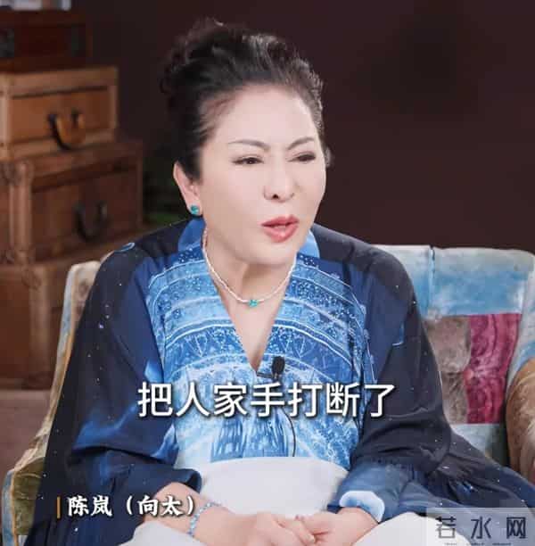 向太曝向佑在国外遭歧视,被人家吐痰,向佐护弟心切将对方手打断