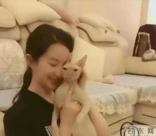 刘亦菲私宅曝光，和一屋猫狗为伴，不用带娃，实在不要太舒适