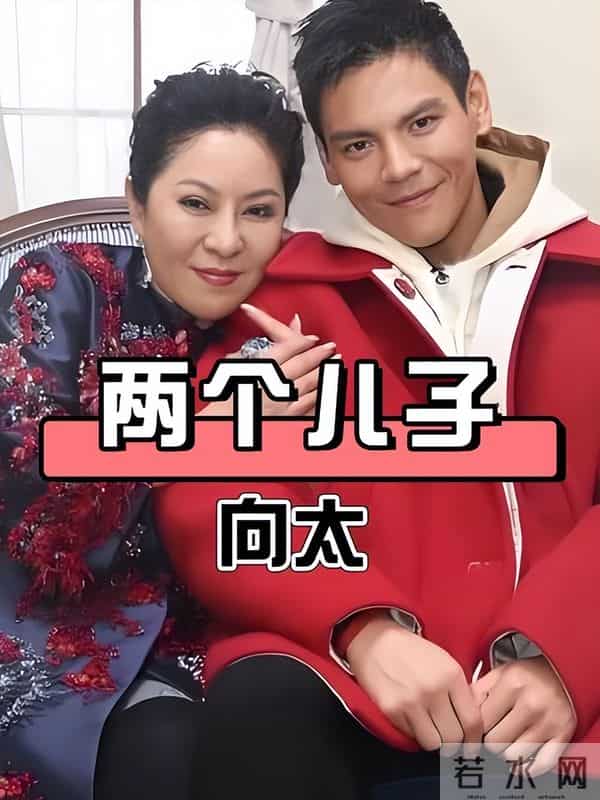 向太爆料：向佐曾经为弟弟向佑出头，打断了对方的手臂