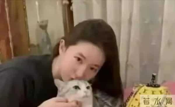 刘亦菲私宅曝光，和一屋猫狗为伴，不用带娃，实在不要太舒适