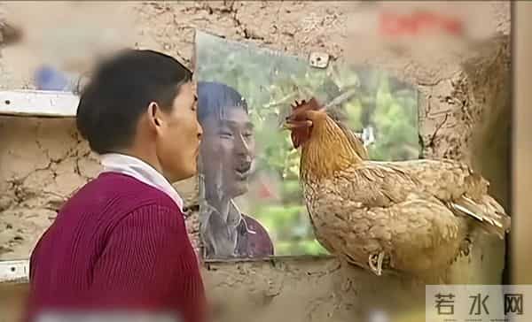 风水轮流转,接连传来喜讯的大衣哥,让前儿媳陈亚男悔得肠子都青了