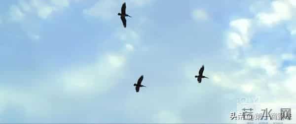 《唐诡3》旗亭画壁案竟暗藏典故！骂前2集平淡的，被三重反转打脸