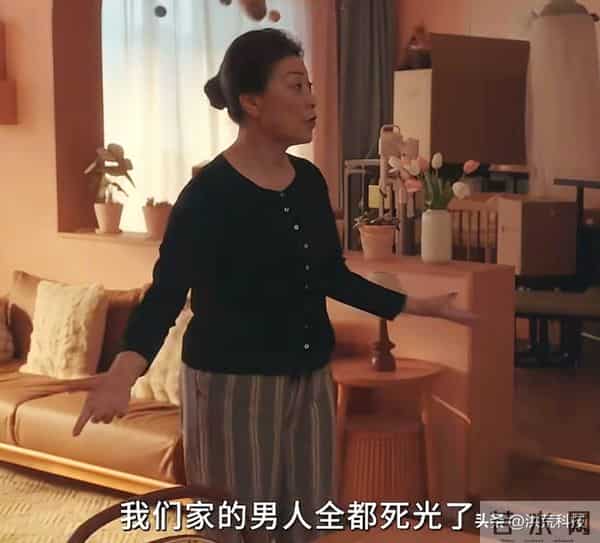 《四喜》直到何丽华怒斥沈明珠“有毒”,才知,最狠的人是岳秀娥